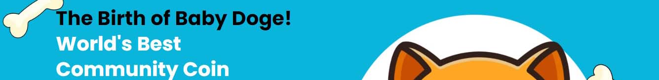 Screenshot Website Baby Doge Coin Image