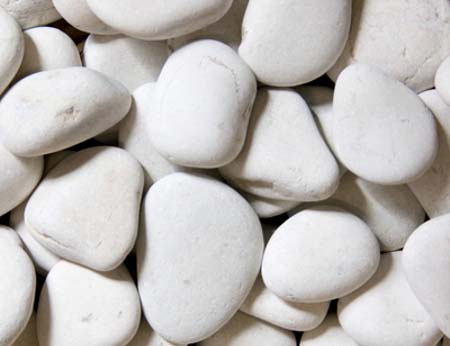 batu koral sikat putih 450